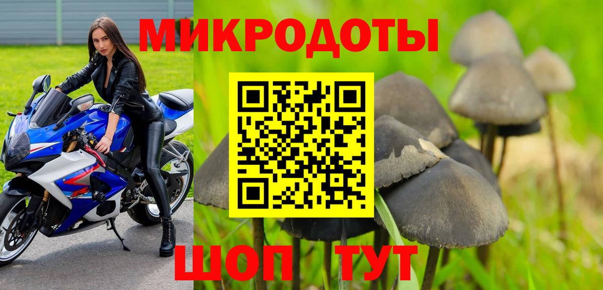 Псилоцибиновые грибы Cubensis Сергиев Посад