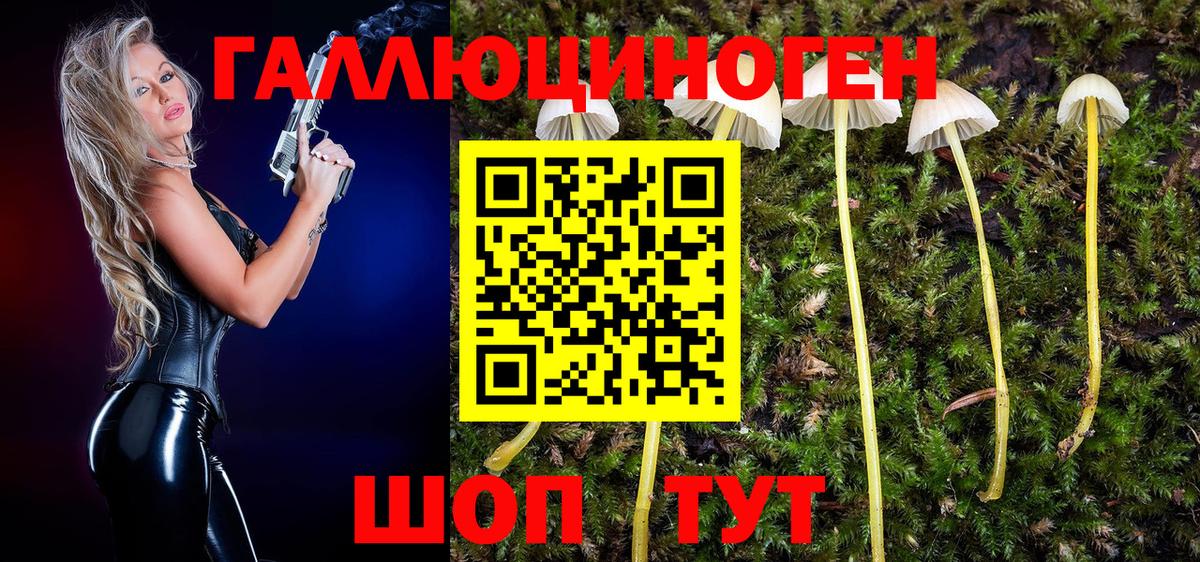 Псилоцибиновые грибы GOLDEN TEACHER  Вход с VPN  Сергиев Посад 